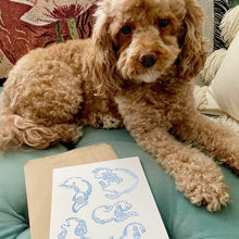 Load image into Gallery viewer, Honey, the Cockapoo, Print
